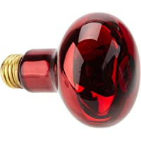 Exo Terra Infra-Rojo Nocturno Heat GLO- 100W (PT2144A1)